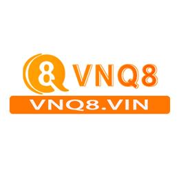 vnq8vin