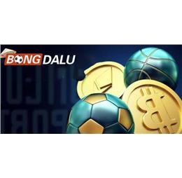 bongdaluzip