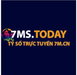 7mstoday