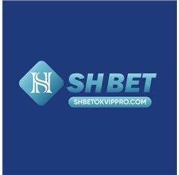 shbetokvipprocom