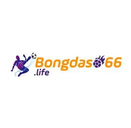 bongdaso66life