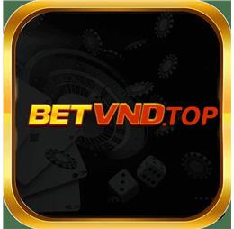 betvndtop
