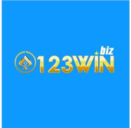 123winbiz