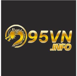 95vninfo