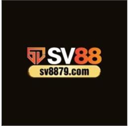 sv88feedback