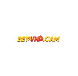 betvndcam