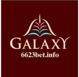 6623betinfo