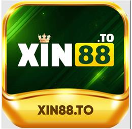 xin88to