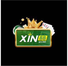 xin88pro