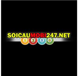 soicaumobi247net