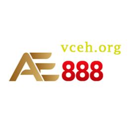 vcehorg