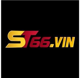 st66vin