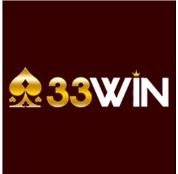 33wincamera