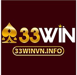 33winvninfo