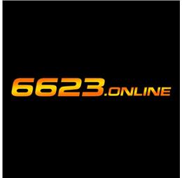 6623online