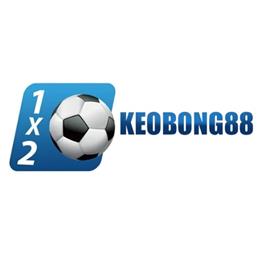 linkkeobong88asia