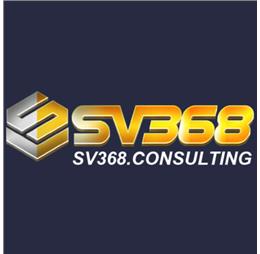 sv368consulting