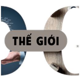 thegioidigi