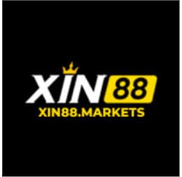 xin88markets