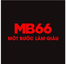 mb66lifestyle