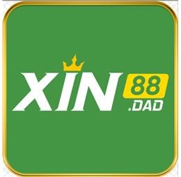 xin88dad