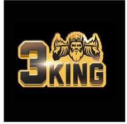 3kingitcom