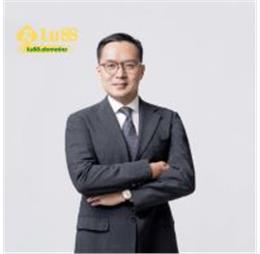 ceoviethoang