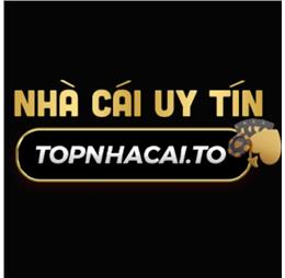 topnhacaito