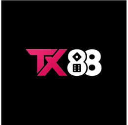 tx88one