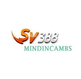 sv388mindincambs