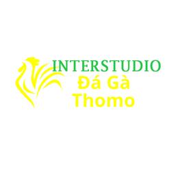 dagainterstudio
