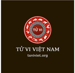 tuviviet102