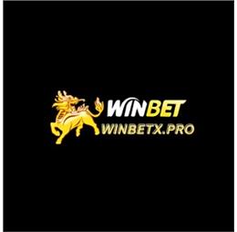 winbetxpro