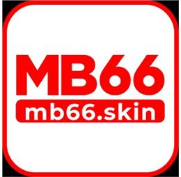 mb66skin1