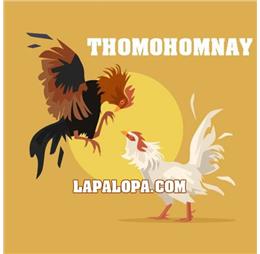 thomohomnaylapalopa