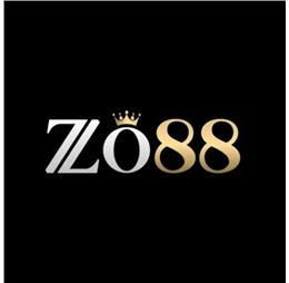 zo888net