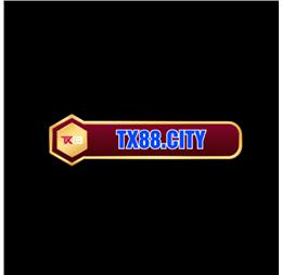 tx88city