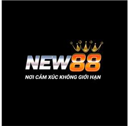 new88833