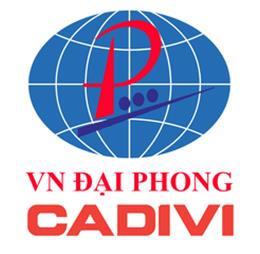 daycapdiencadivi
