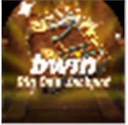 BwinCasino2