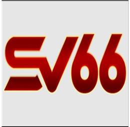 sv66beer