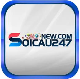 soicau247newcom