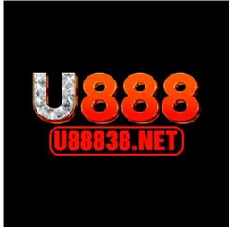 u88838net