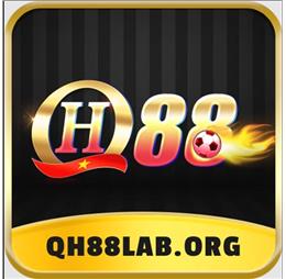QH88laborg