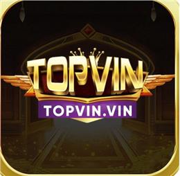 topvinvin