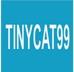 tinycat99autos