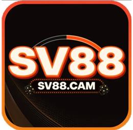 SV88cam1
