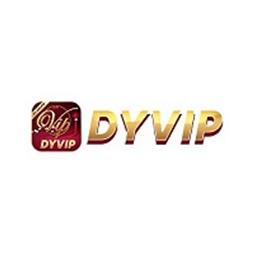 dyvipnetbr
