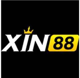 xin88fail
