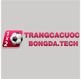 trangbongdatech
